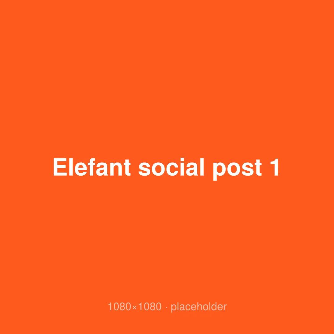 Elefant social post 1