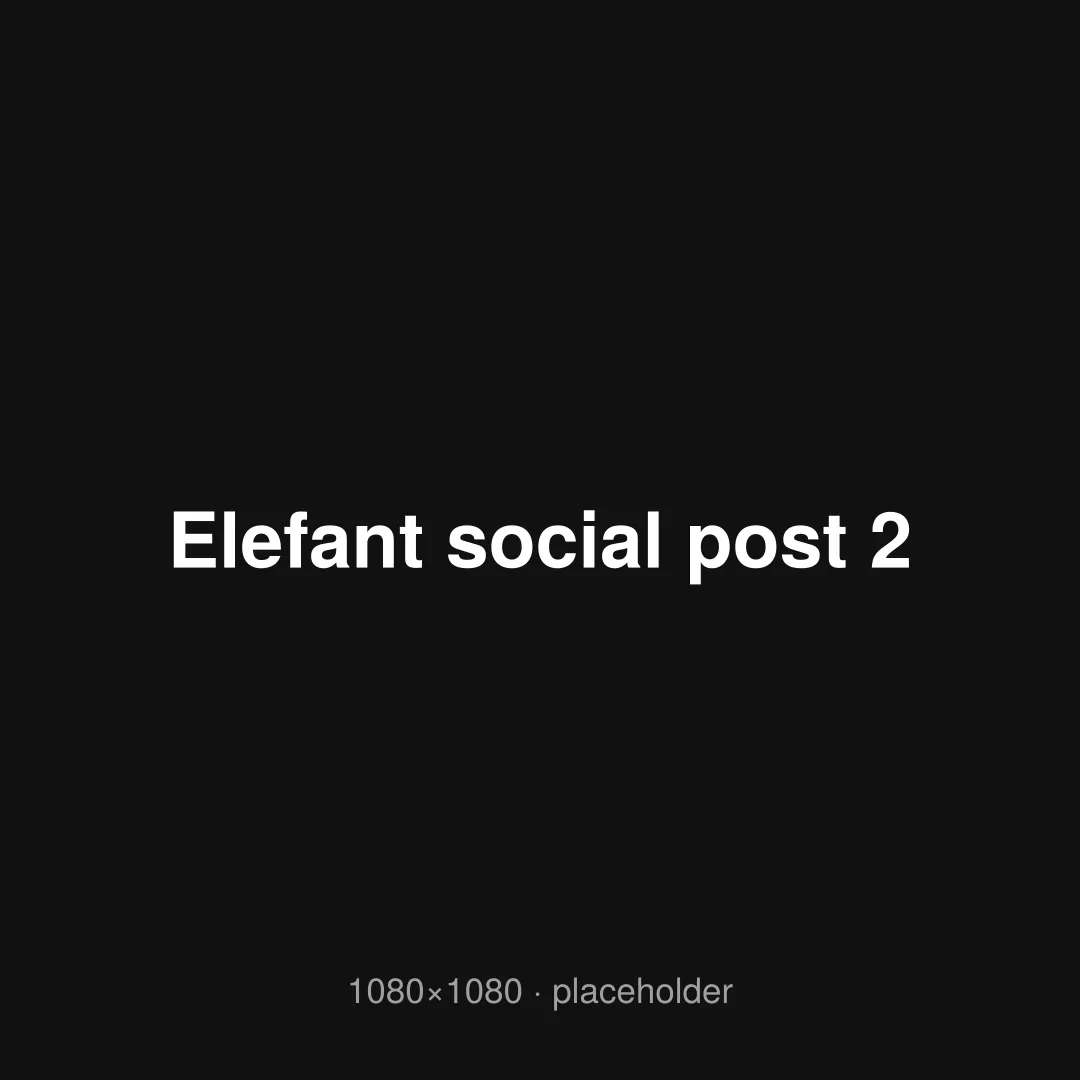 Elefant social post 2