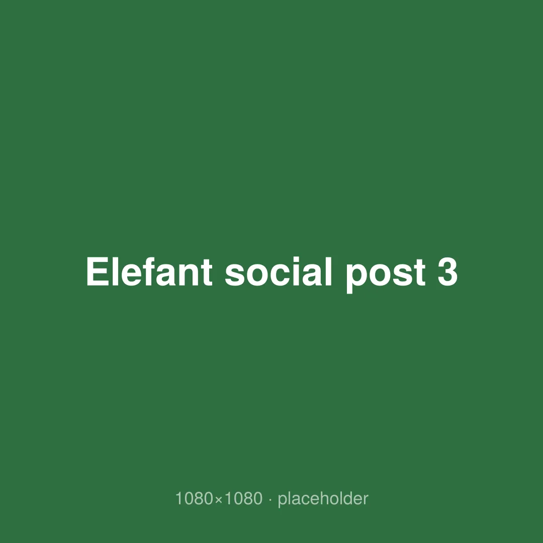 Elefant social post 3