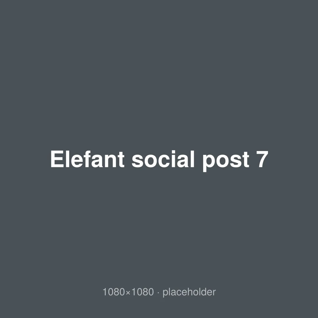 Elefant social post 7