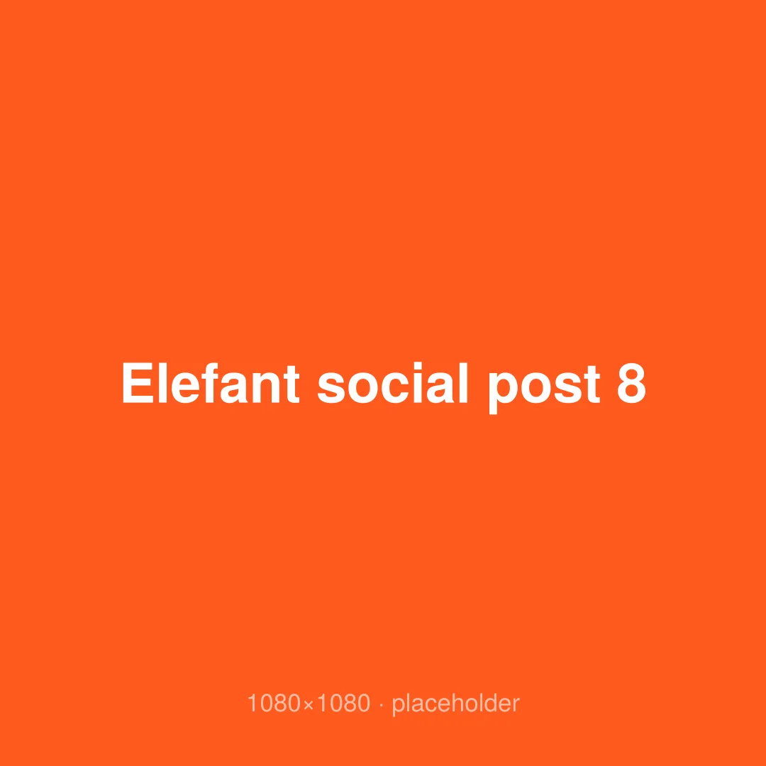 Elefant social post 8