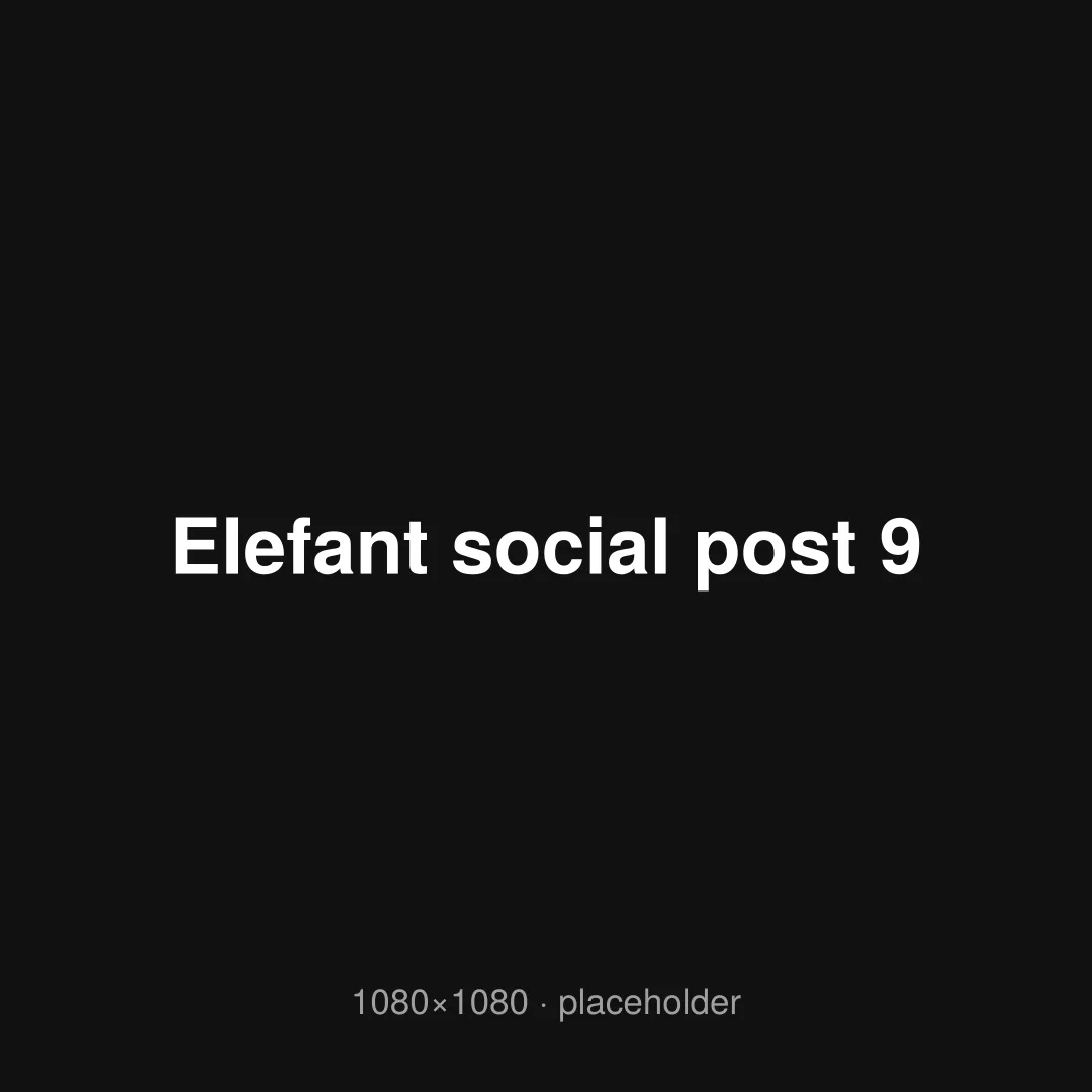 Elefant social post 9