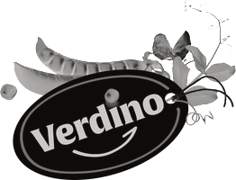 Verdino logo