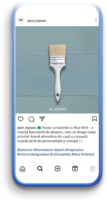Policolor Instagram post 2