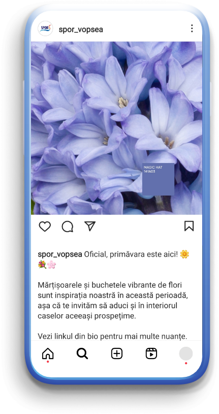 Policolor Instagram post 5