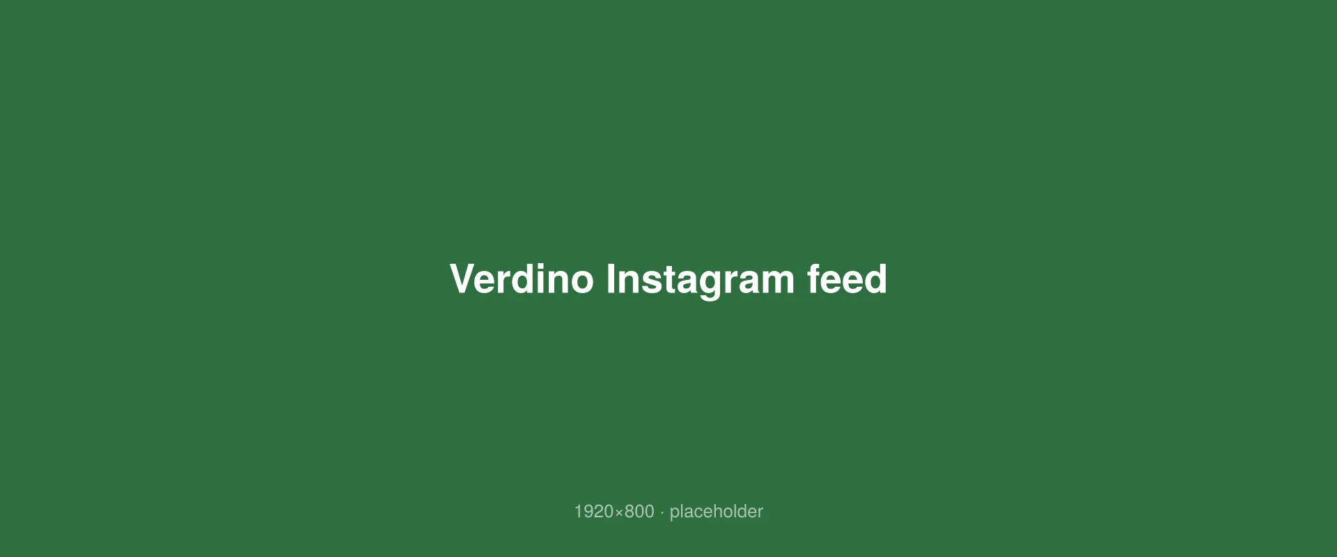 Verdino Instagram feed